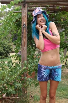 tuinbloempje aus Oost-Vlaanderen,Belgien